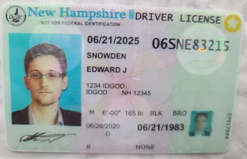 fake id for NEW HAMPSHIRE